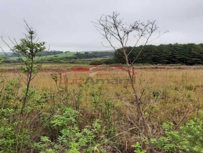 Lote para Venda, em Irati, bairro Vila Raquel