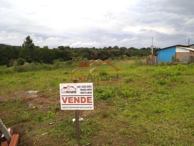 Lote para Venda, em Irati, bairro Engenheiro Gutierrez