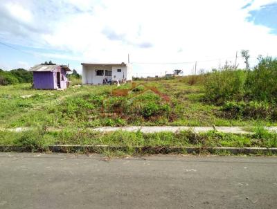 Lote para Venda, em Irati, bairro Engenheiro Gutierrez