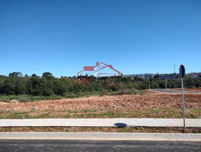 Lote para Venda, em Irati, bairro Vila  So Joo