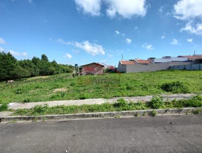 Lote para Venda, em Irati, bairro Engenheiro Gutierrez