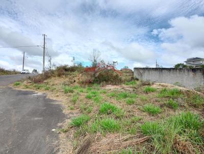 Lote para Venda, em Irati, bairro Vila Verde