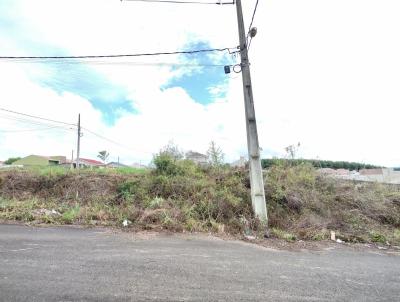 Lote para Venda, em Irati, bairro Vila Verde