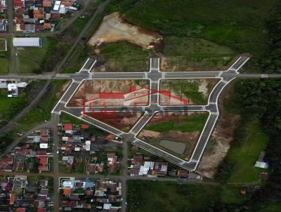 Lote para Venda, em Irati, bairro So Pedro