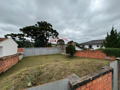 Lote para Venda, em Irati, bairro Canisianas