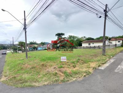 Lote para Venda, em Irati, bairro Centro