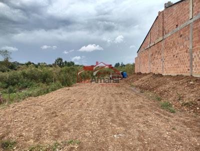 Lote para Venda, em Irati, bairro Engenheiro Gutierrez