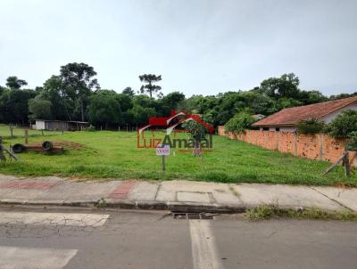 Lote para Venda, em Irati, bairro Vila Matilde