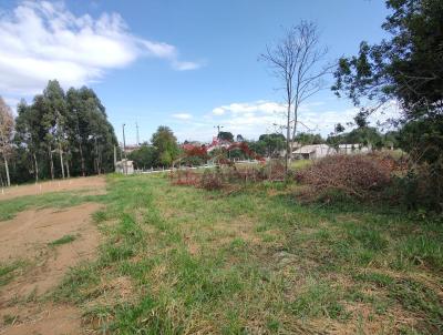 Lote para Venda, em Irati, bairro Jardim Virgnia