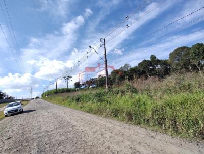 Lote para Venda, em Irati, bairro Rio Bonito