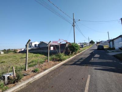 Lote para Venda, em Irati, bairro Jardim Virgnia