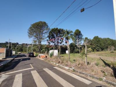 Lote para Venda, em Irati, bairro Jardim Virgnia