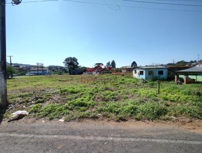 Lote para Venda, em Irati, bairro Canisianas