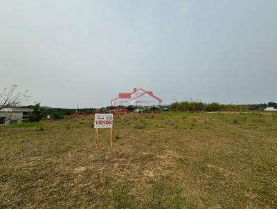 Lote para Venda, em Irati, bairro So Francisco