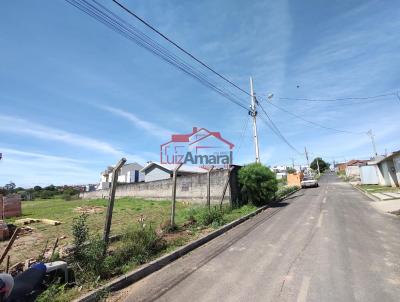 Lote para Venda, em Irati, bairro Jardim Virgnia