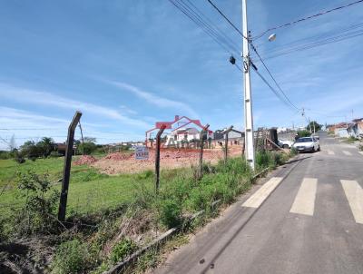 Lote para Venda, em Irati, bairro Jardim Virgnia