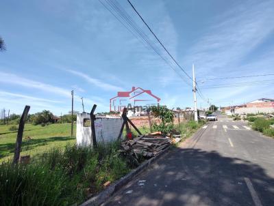 Lote para Venda, em Irati, bairro Jardim Virgnia