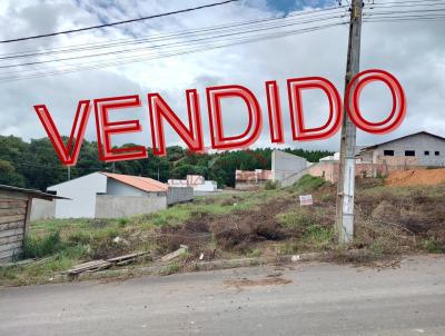 Lote para Venda, em Irati, bairro Vila Verde