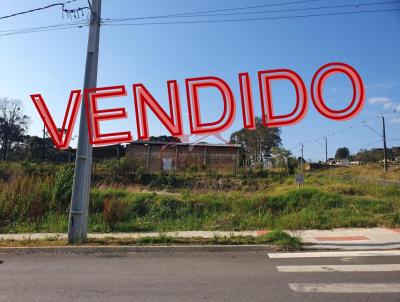 Lote para Venda, em Irati, bairro Engenheiro Gutierrez