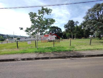 Lote para Venda, em Irati, bairro Jardim Virgnia
