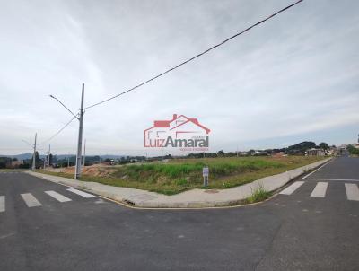 Lote para Venda, em Irati, bairro So Pedro