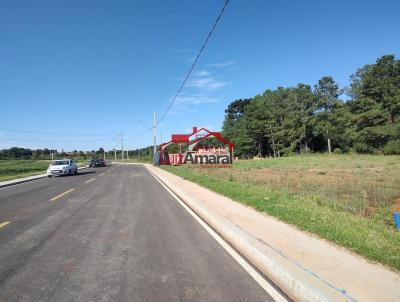 Lote para Venda, em Irati, bairro So Pedro