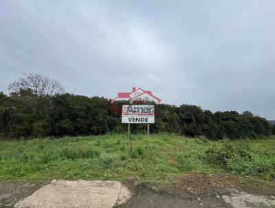 Lote para Venda, em Irati, bairro Vila  So Joo