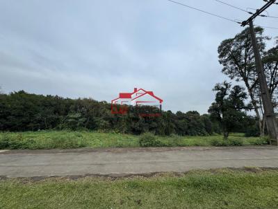 imagem-miniatura