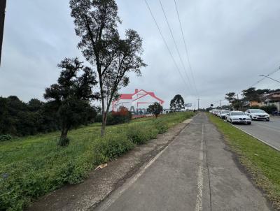 Lote para Venda, em Irati, bairro Vila  So Joo