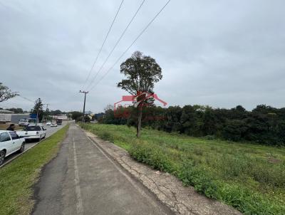 Lote para Venda, em Irati, bairro Vila  So Joo