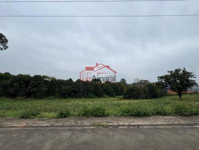 Lote para Venda, em Irati, bairro Vila So Joo