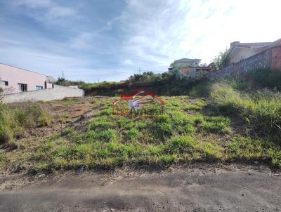 Lote para Venda, em Irati, bairro Vila Verde