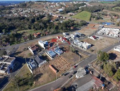 Lote para Venda, em Irati, bairro So Francisco