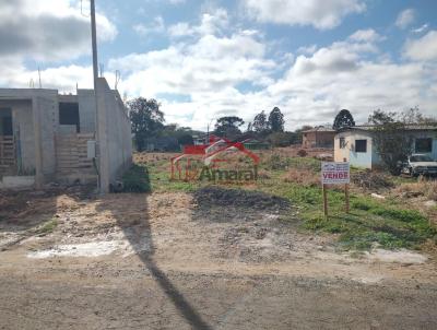 Lote para Venda, em Irati, bairro Canisianas