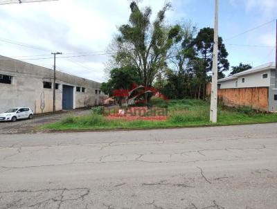 Lote para Venda, em Irati, bairro Colina Nossa Senhora Das Graas