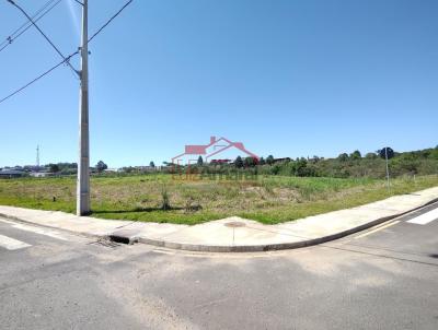 Lote para Venda, em Irati, bairro São Pedro