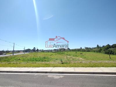 Lote para Venda, em Irati, bairro São Pedro
