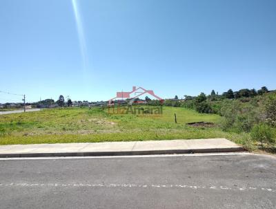 Lote para Venda, em Irati, bairro São Pedro