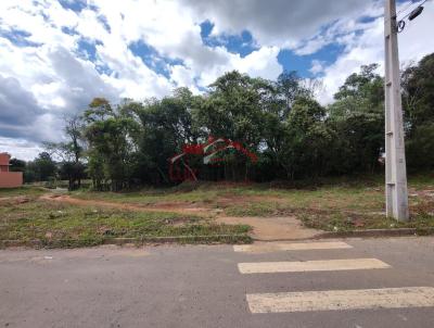 Lote para Venda, em Irati, bairro Vila  S�o Jo�o
