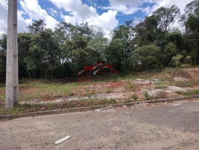 Lote para Venda, em Irati, bairro Vila  S�o Jo�o