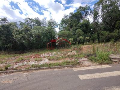 Lote para Venda, em Irati, bairro Vila  S�o Jo�o