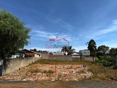 Lote para Venda, em Irati, bairro S�o Pedro
