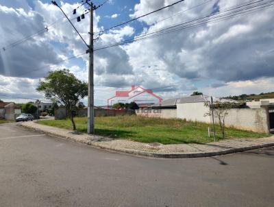 Lote para Venda, em Irati, bairro S�o Francisco