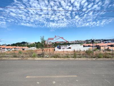 Lote para Venda, em Irati, bairro Vila  S�o Jo�o
