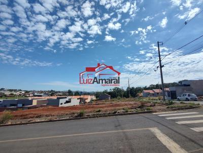 Lote para Venda, em Irati, bairro Vila  S�o Jo�o
