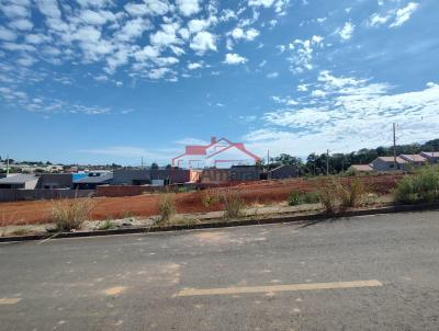 Lote para Venda, em Irati, bairro Vila  S�o Jo�o