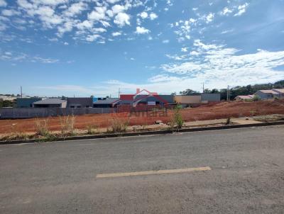Lote para Venda, em Irati, bairro Vila  S�o Jo�o
