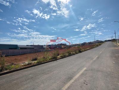 Lote para Venda, em Irati, bairro Vila  S�o Jo�o