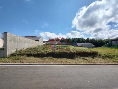 Lote para Venda, em Irati, bairro Alto Da Gl�ria II