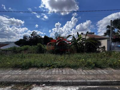 Lote para Venda, em Irati, bairro Canisianas